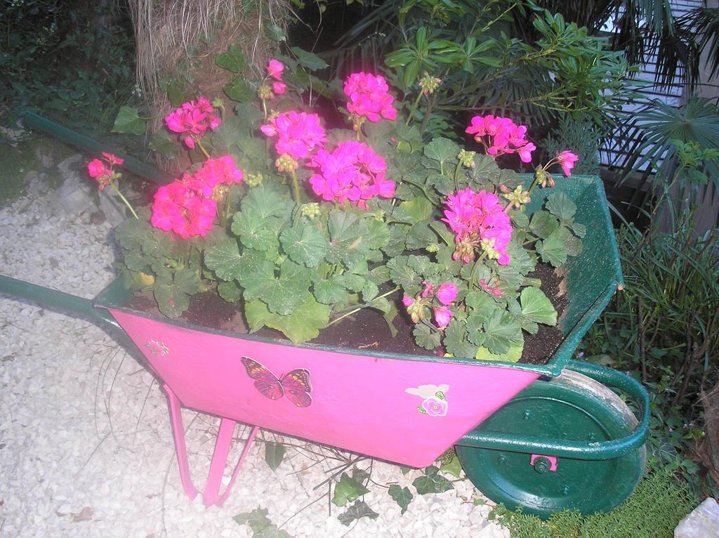 אופטיה Apartment Nena With Private Free Parking מראה חיצוני תמונה